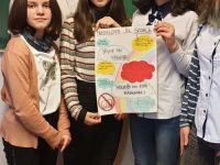 antiviolenta6