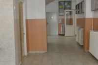 lyl_8784