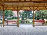 clasa_din_gradina_1601451555