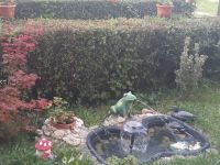 curtea_scolii_02