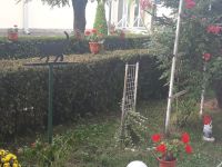 curtea_scolii_03