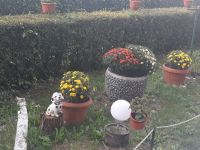 curtea_scolii_04