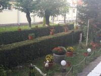 curtea_scolii_05