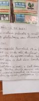 ziua_mondiala_a_educatiei_(11)_1665042056