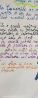 ziua_mondiala_a_educatiei_(20)_1665042055