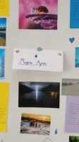 ziua_apei_(13)_1648120778